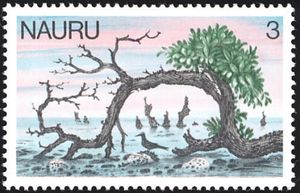 Evening Mood, Black Noddy (Anous minutus)