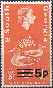 Sooty Albatross (Phoebetria palpebrata) - surcharged