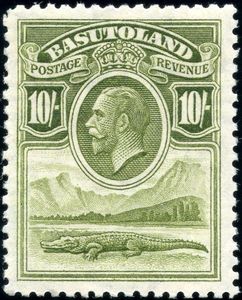 Nile Crocodile (Crocodylus niloticus) and River Scene