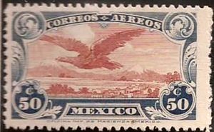 Golden Eagle (Aquila chrysaetos)