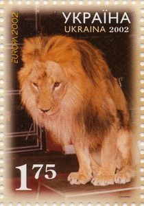 Lion (Panthera leo)