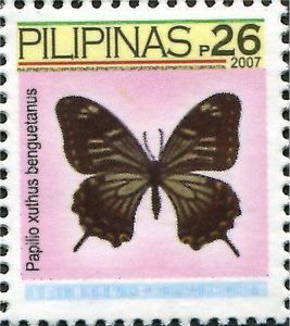 Asian Swallowtail (Papilio xuthus benguetanus)