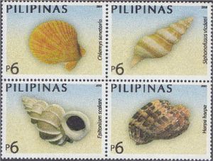 Philippine Shells