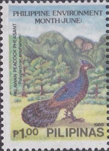 Palawan Peacock-pheasant (Polyplectron emphanum)