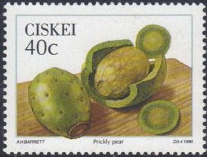 Prickly Pear: Open fruit