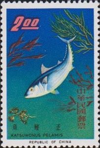 Skipjack (Katsuwonus pelamis)