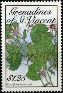 Passiflora andersonii