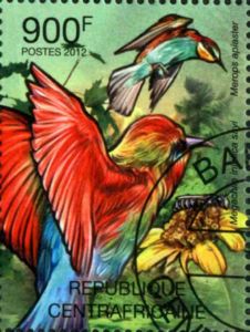 European Bee-eater (Merops apiaster), Leafcutter Bee (Megach