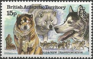 Huskies, Dogsledding