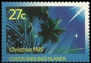 Night Sky and Palm Trees