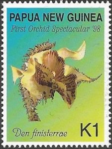 Dendrobium finisterrae