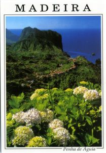 MADEIRA. Penha de Águia (Eagle's Rock)