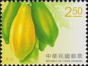 Papaya (Carica papaya)