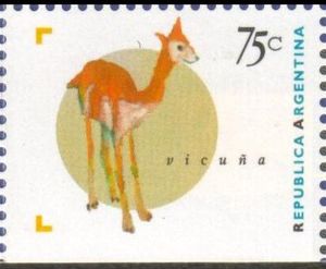 Vicugna (Vicugna vicugna)