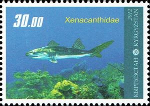 Xenacanthidae