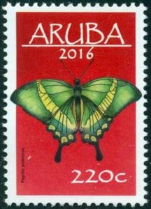 Emerald Swallowtail (Papilio palinurus)