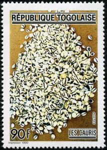 Cowrie (Cypraea sp.)