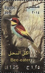 European Bee-eater (Merops apiaster)