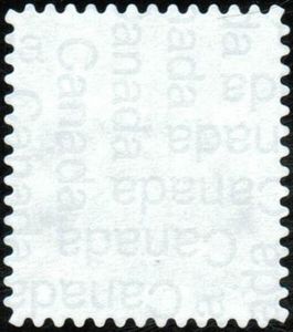 Young Child with Flag