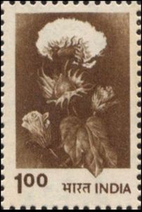 Cotton (Gossypium sp.)