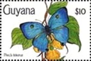 Hairstreak Butterfly (Thecla telemus)