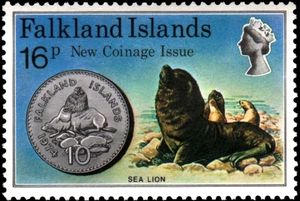 South American Sea Lion (Otaria byronia) and 10p coin
