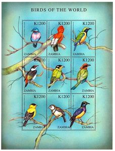Birds of the World