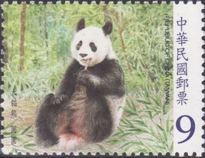 Giant Panda (Ailuropoda melanoleuca)