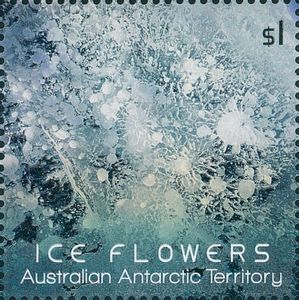 Light-blue Ice Flower Embossed With Foil Application