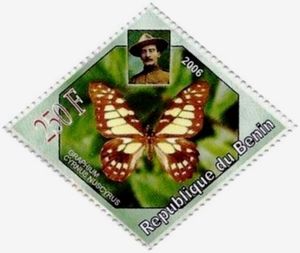 Graphium cyrnus nuscyrus