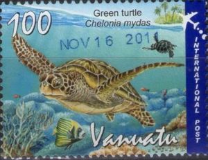 Green Sea Turtle (Chelonia mydas)