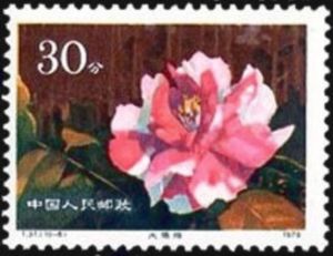 Hybrid Camellias from the Yunnan Province