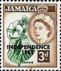 Mahoe Flower - overprinted