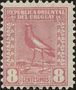 Southern Lapwing (Vanellus chilensis)