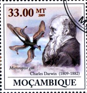 200th Anniversary of Charles Darwin (1809-1882)