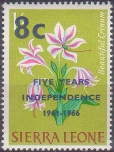 Beautiful Crinum surcharged