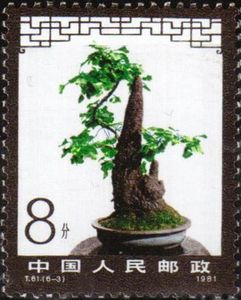 Bonsai
