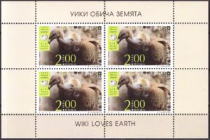 Griffon Vulture (Gyps fulvus)