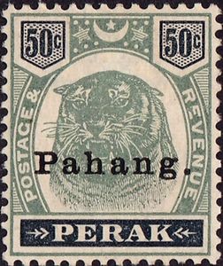 Tiger (Panthera tigris)