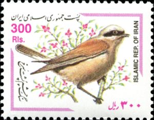 Eurasian Penduline Tit (Remiz pendulinus)