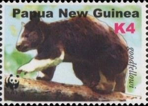 Goodfellow's Tree Kangaroo (Dendrolagus goodfellowi)
