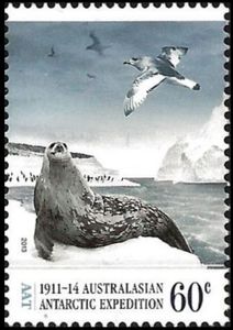 Weddell Seal and Antarctic Petrel