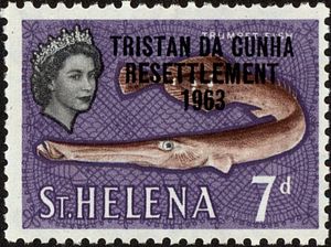 Atlantic Trumpetfish (Aulostomus strigosus)