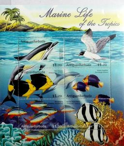 Marine Life of the Tropics