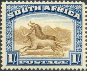 Wildebeest (Connochaetes sp.)