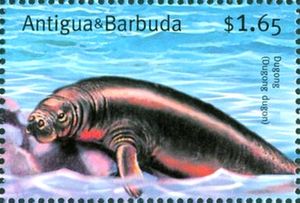 Dugong
