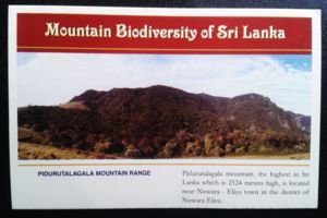 Pidurutalagala Mountain Range