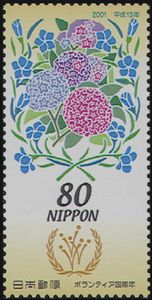 International Year of Volunteers