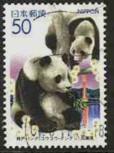 Giant Panda (Ailuropoda melanoleuca)