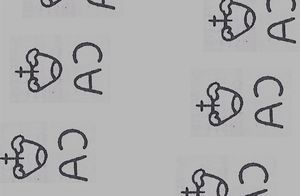 Fiji Banded Iguana (Brachylophus fasciatus)